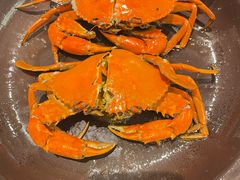 -大东海海鲜酒楼(渔人码头总店)