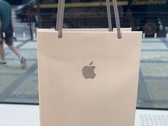 -Apple 零售店(Canton Road)