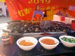 -美心红酒小镇游乐园
