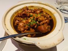 富贵美容猪脚圈-梧桐餐厅(泉城路店)