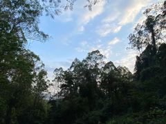 -火炉山森林公园