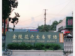 -金陵花卉交易市场