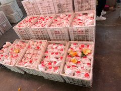 -双福水果批发市场