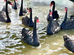 -水上乐园·欢乐世界