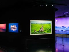 -罗红摄影艺术馆