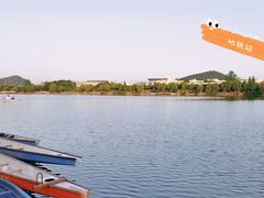 -羊山湖公园