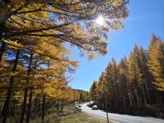 -塞罕坝国家级自然保护区