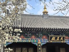 -护国法轮寺