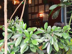 -萨尔瓦多Salvador's