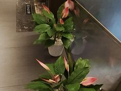 -百富源·海鲜辽菜(和平北大街店)