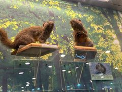 -下渚湖国家湿地公园科普馆