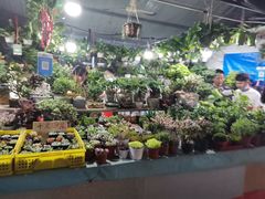 -大学城夜市大排档(凤栖路店)