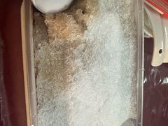 -王中王刨冰