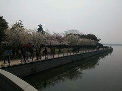 android_upload_pic-蠡湖大桥公园