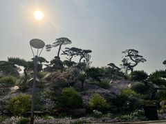 -罗红摄影艺术馆