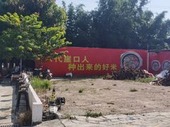 -崖口煲仔饭