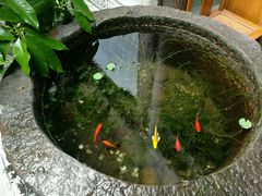 -白鹭原茶艺馆