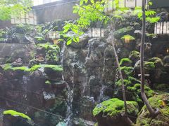 -蟹料理 北海道かに将軍(札幌本店)