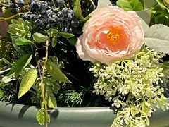 -雀蓝川菜(星悦汇店)