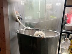 -PETKIT小佩宠物(昭化店)
