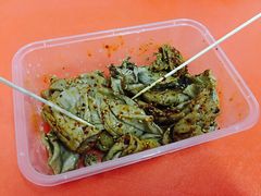 豆腐皮-老王豆皮