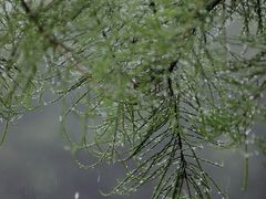 -广富林郊野公园