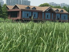 -苏州太湖湖滨国家湿地公园