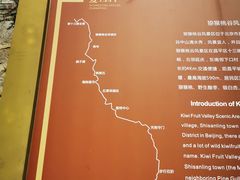-大岭沟猕猴桃谷风景区