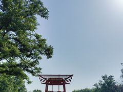 -大望京公园