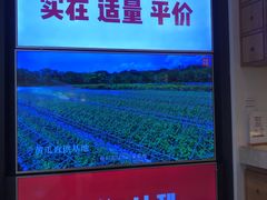 -大碗先生(万家丽店)