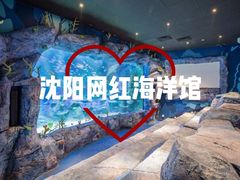 -沈阳海洋探索中心