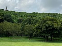 -苏州上方山国家森林公园