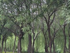 -太阳宫公园