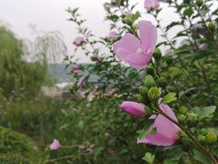 -白鹿原影视城