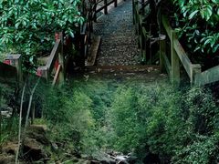 -广州白江湖森林公园