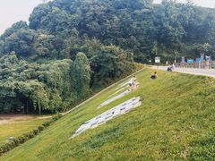 -龙坞茶村