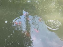 -苏州河梦清园环保主题公园