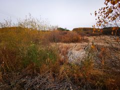 -塞罕坝国家级自然保护区