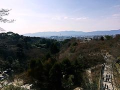 -矢场猪(名古屋站三井楼北馆店)