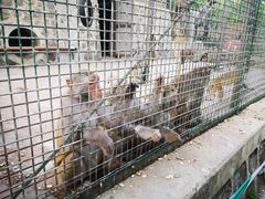 -南京金牛湖风景区