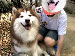 -TrueLove @ Neverland (Husky Cafe)