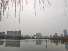 -天鹅湖体育公园