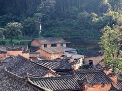 -杨家堂村