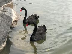 -上海怡沁园度假酒店