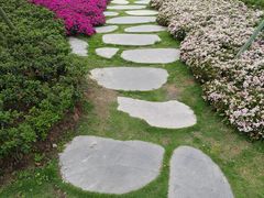 -府河摄影公园