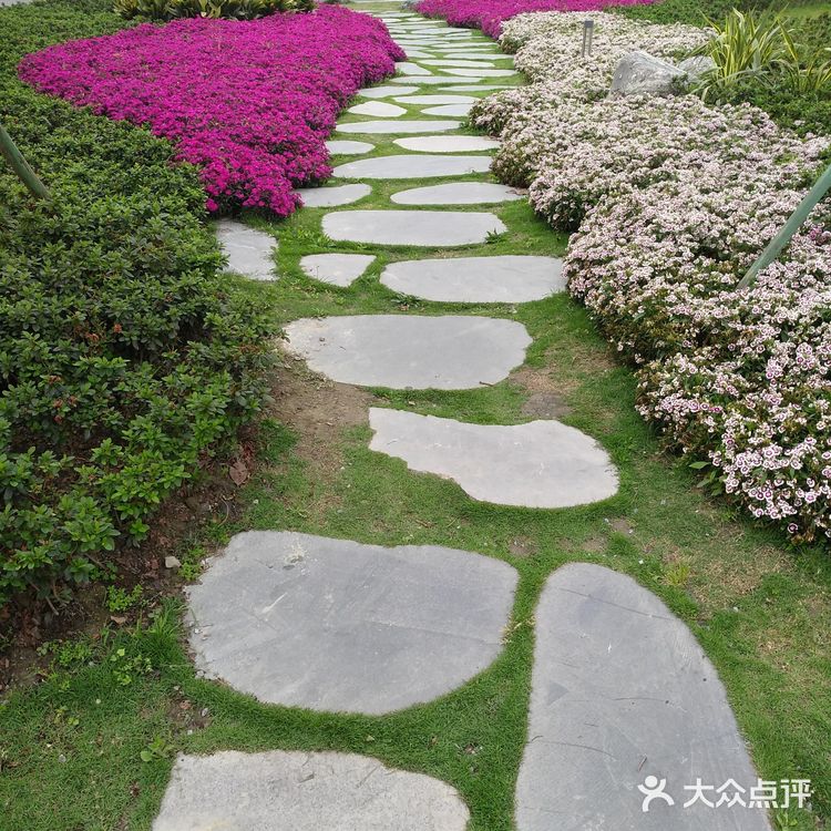 沿着三环的熊猫绿道骑行而来，并不远在华侨城对面