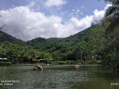 -呀诺达热带雨林