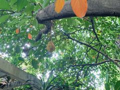 -华南国家植物园-售票处