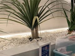 -兰湘子·湘菜小炒(崂山丽达店)