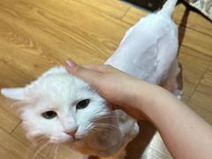 -肯德基(学院路店)